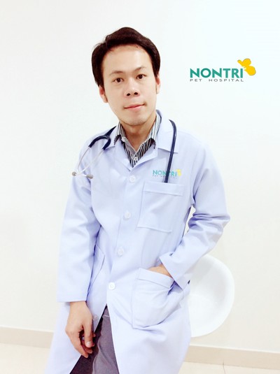 Dr. เสลภูมิ