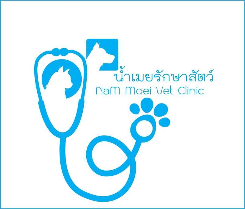 คลินิกน้ำเมยรักษาสัตว์ (2/2)