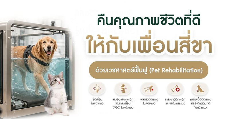 ศูนย์การสัตวแพทย์ PKAH รังสิต (2/4)