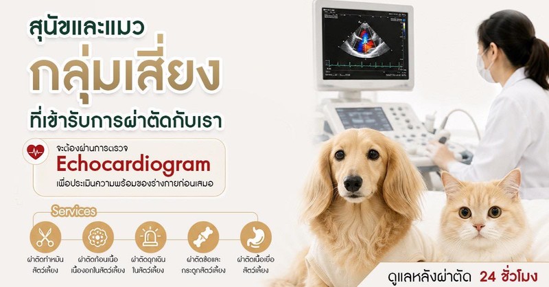 ศูนย์การสัตวแพทย์ PKAH รังสิต (3/4)