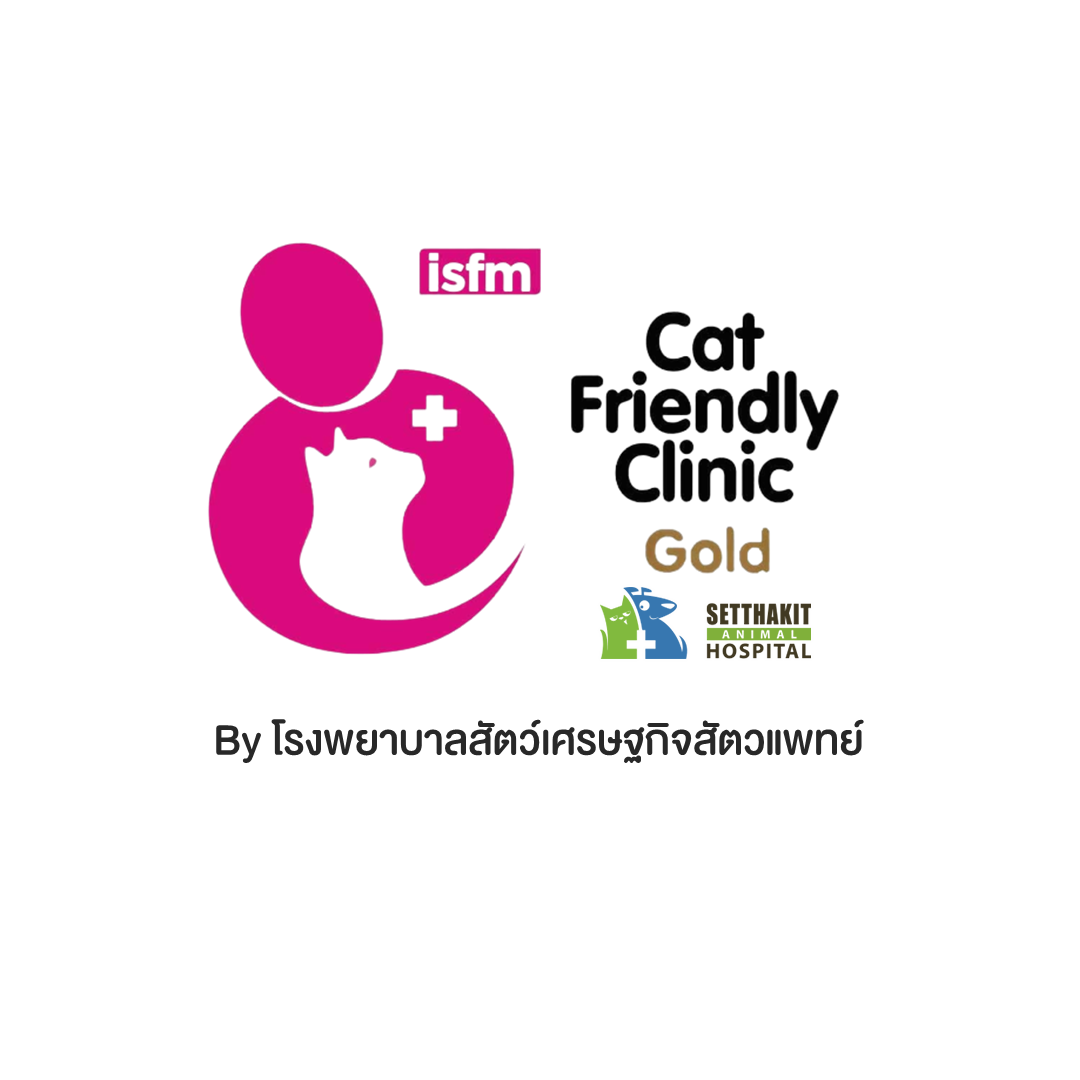 ศูนย์โรคในแมว CAT FRIENDLY CLINIC