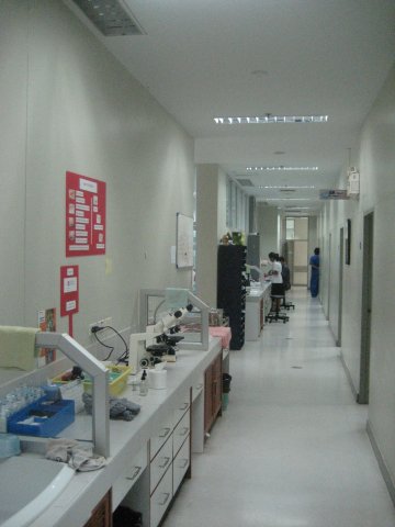 โรงพยาบาลสัตว์ประศุอาทร (3/4)